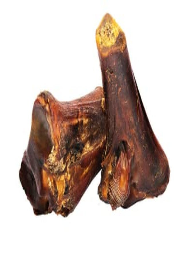 ROAM PET TREATS Cape Ostrich Gnaw-kle Bone, 2 Small, Long-Lasting Single-Ingredient Dog Chew - Image 2